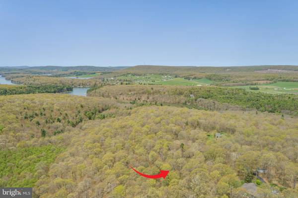 Swanton, MD 21561,LOT 14 SNOW BIRD LN