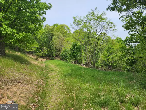 Mathias, WV 26812,LOT #7 LOST RIVER BLUFFS / BOULDER DR