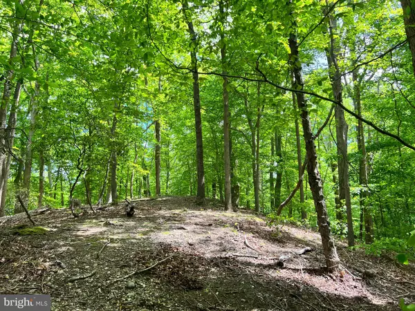 Lorton, VA 22079,OLD COLCHESTER RD