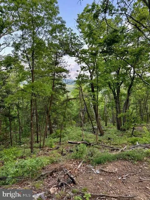 LOT 77 MIMOSA TRAIL, Winchester, VA 22602