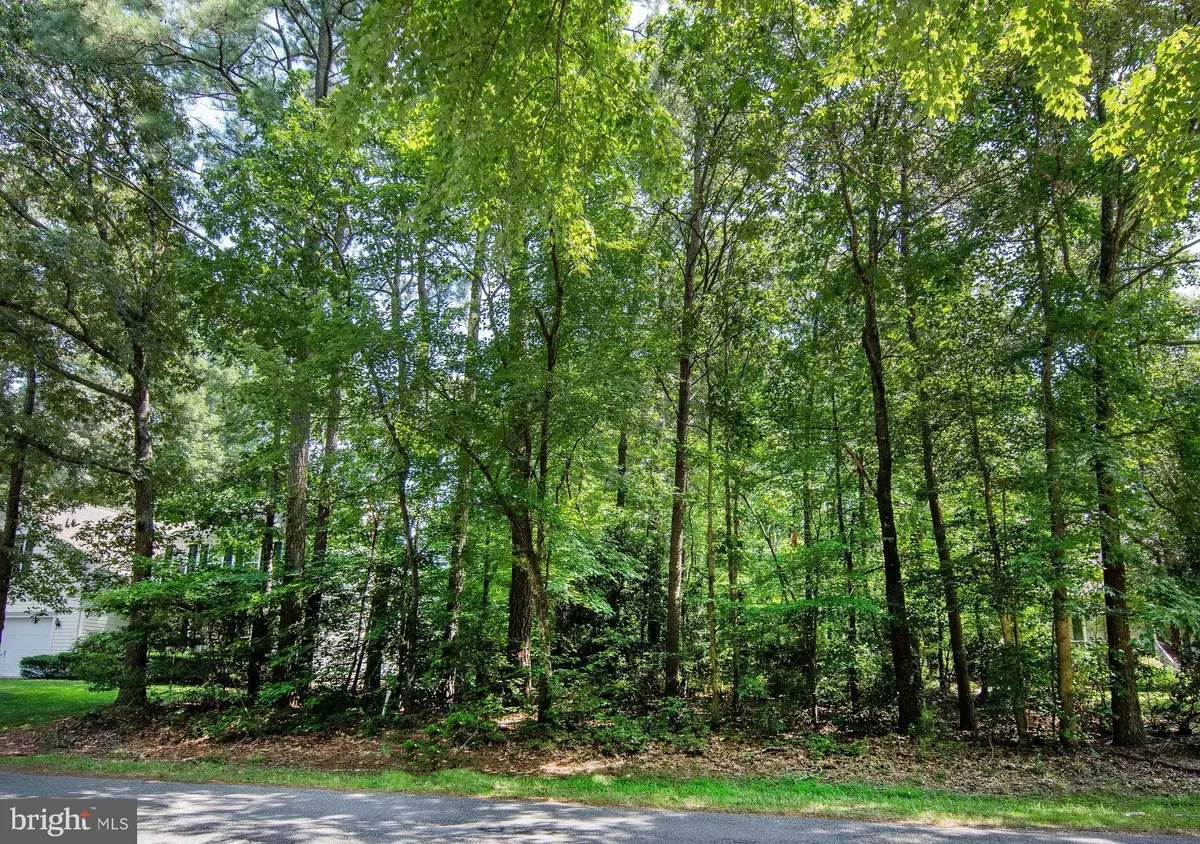 Greenbackville, VA 23356,LOT 79 DAVY JONES BLVD