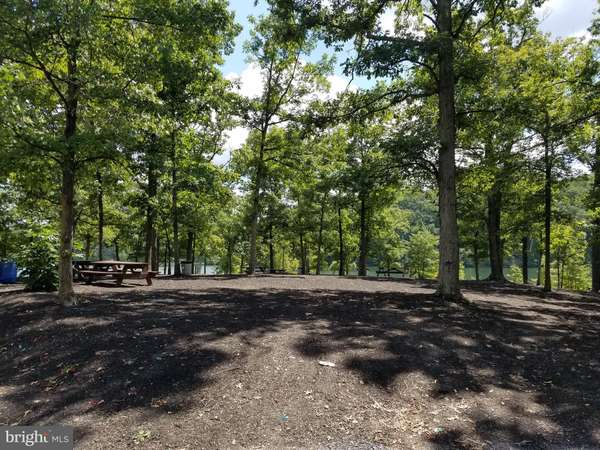 Cross Junction, VA 22625,LOT 20 LAUREL DR