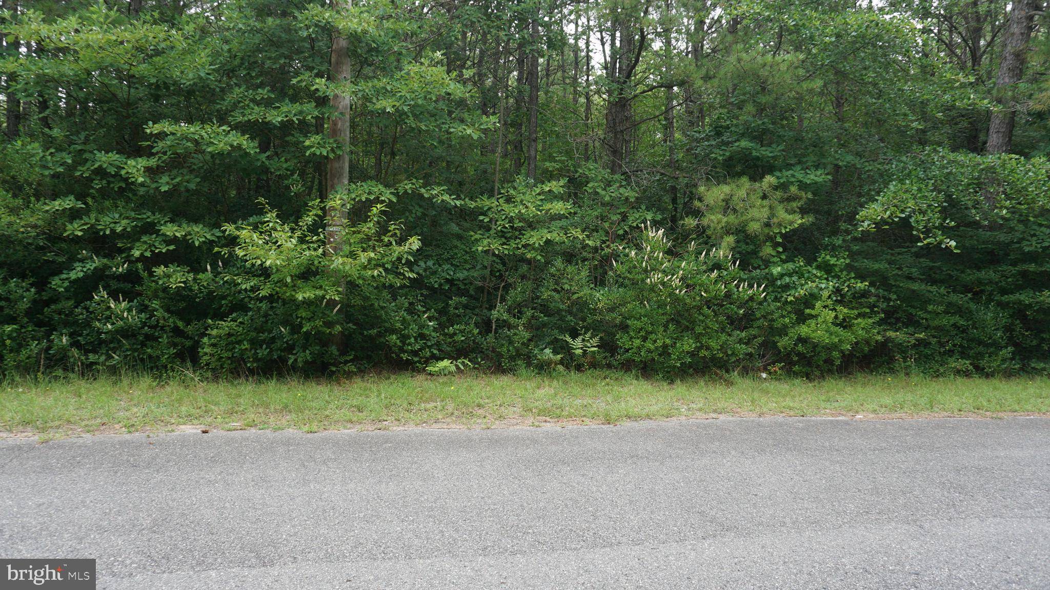 Waretown, NJ 08758,33 TILLER DR
