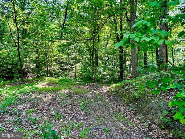 Gerrardstown, WV 25420,LOT 29 SUGAR MAPLE LN