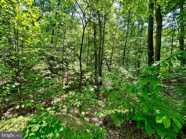 Gerrardstown, WV 25420,LOT 29 SUGAR MAPLE LN