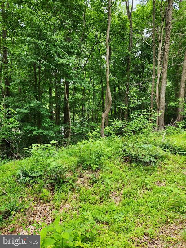 Montross, VA 22520,LOT 56 PLANTATION