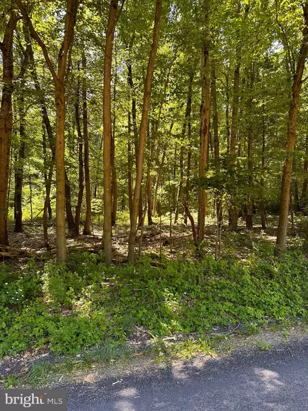 0 KLINE HOLLOW RD LOT 2, Liverpool, PA 17045