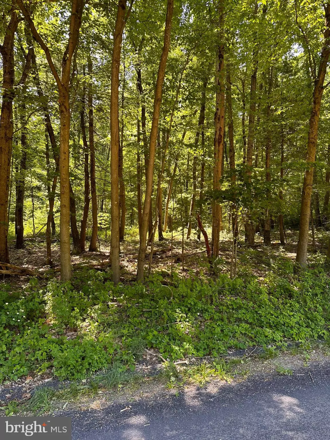 Liverpool, PA 17045,0 KLINE HOLLOW RD LOT 2