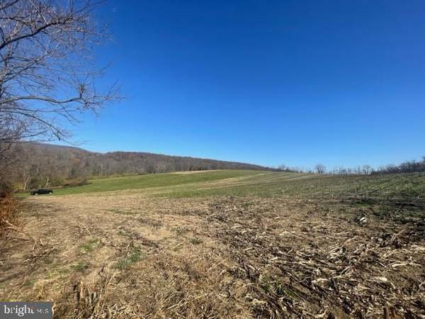 LOT #2 HORNINGTOWN ROAD, Mifflintown, PA 17059