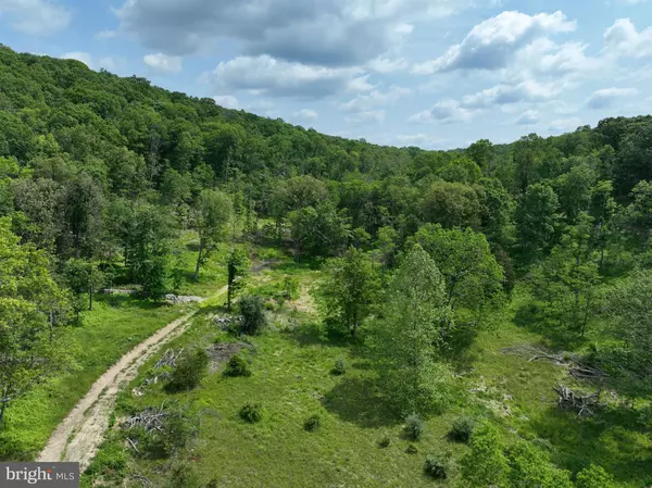 Wardensville, WV 26851,76.90 AC OFF THORN BOTTOM RD