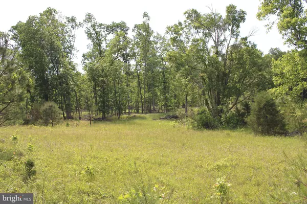 76.90 AC OFF THORN BOTTOM RD, Wardensville, WV 26851