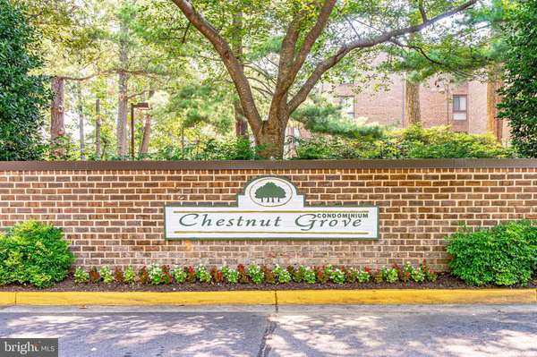 Reston, VA 20190,11224 CHESTNUT GROVE SQ #15