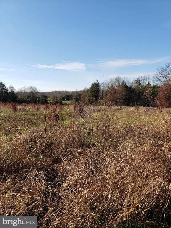 Bealeton, VA 22712,LOT 7 MICHAEL RYAN DR