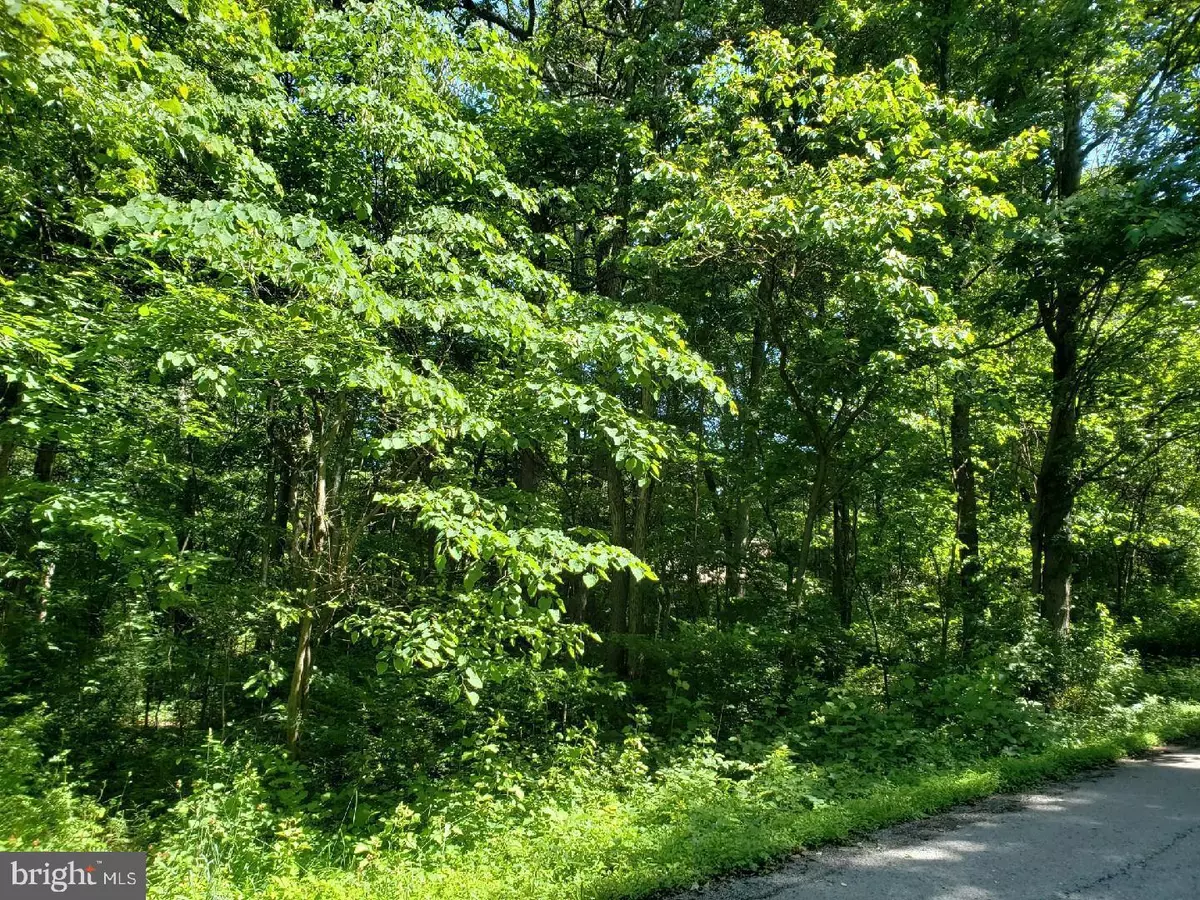 Waterfall, PA 16689,BLACKS MOUNTAIN ROAD