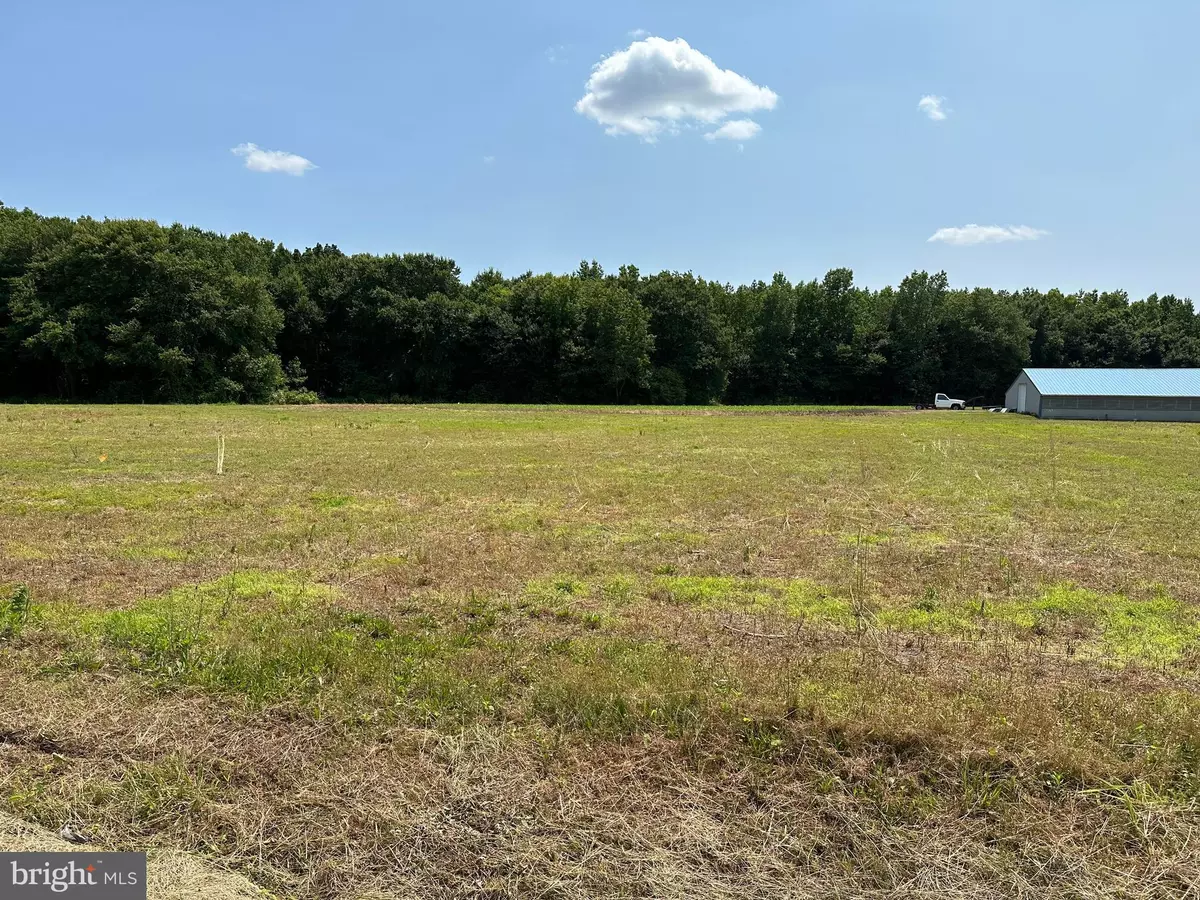 Laurel, DE 19956,18288-LOT 1 PHILLIPS HILL RD