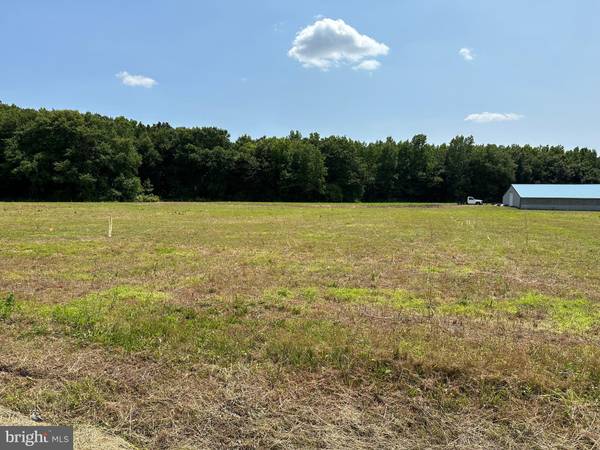 18288-LOT 1 PHILLIPS HILL RD, Laurel, DE 19956