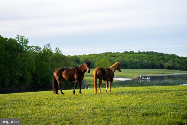 Scottsville, VA 24590,510 MOUNT PLEASANT FARM ROAD