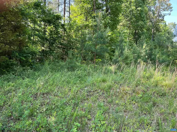 LOT A 6 TYE RIVER RD #91 A6, Tye River, VA 22922