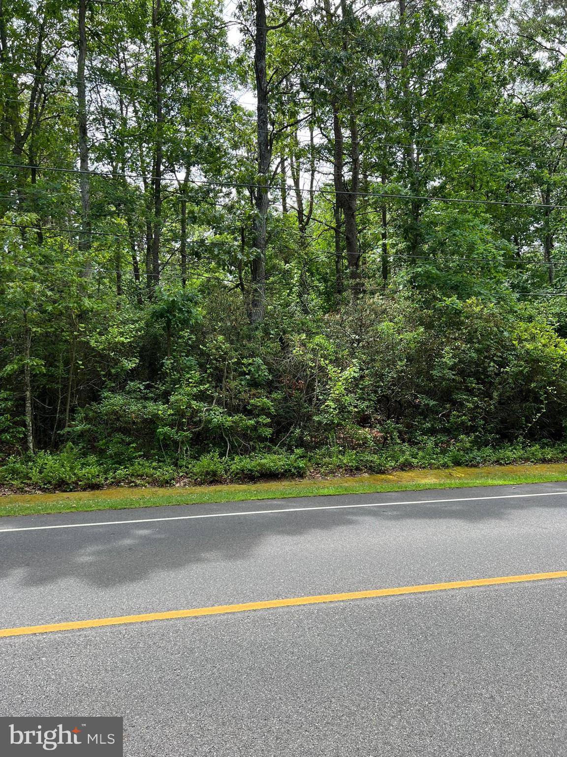 Cedarville, NJ 08311,810 LUMMISTOWN RD
