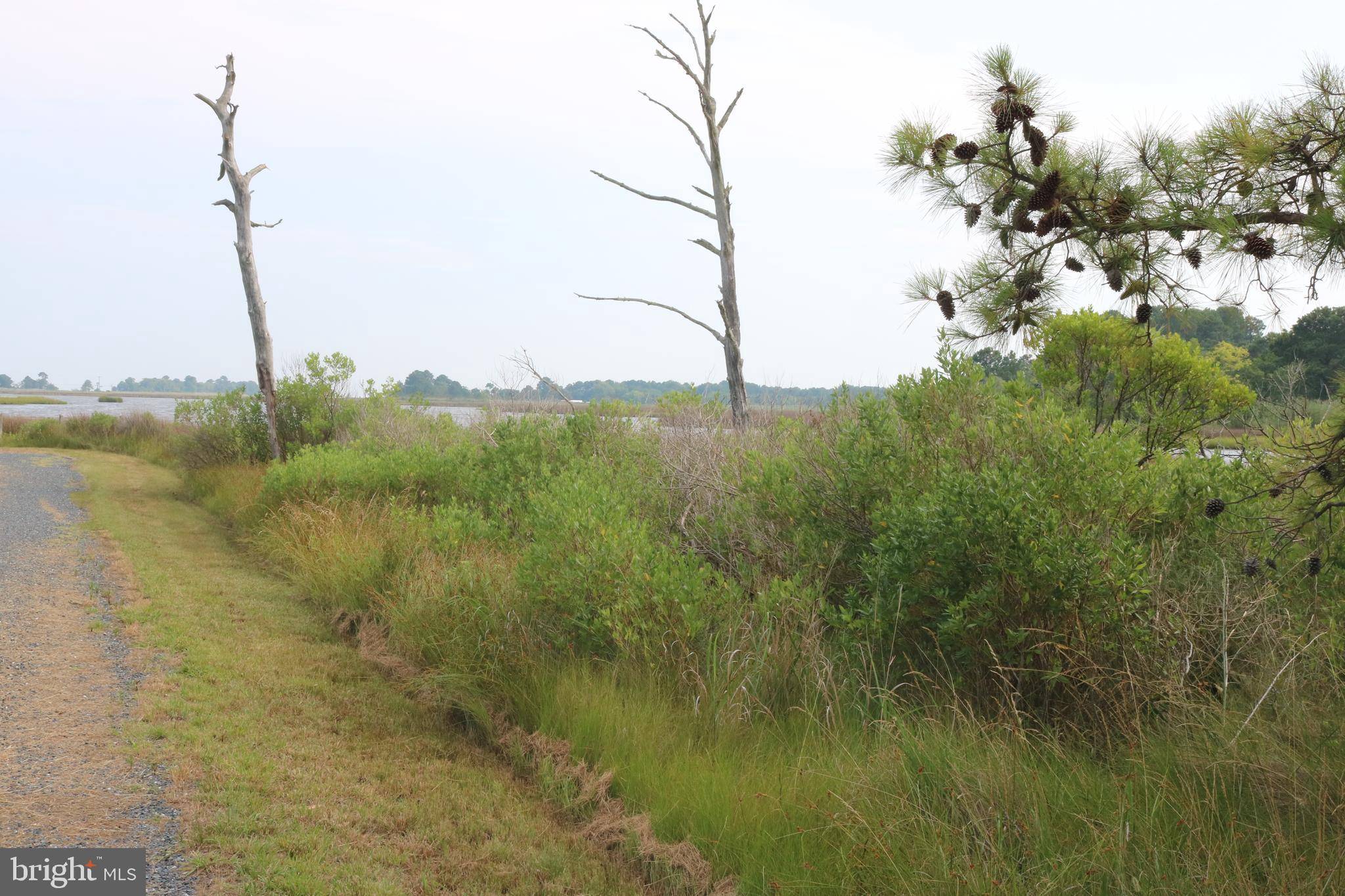 Deal Island, MD 21821,11086 LEE AVE