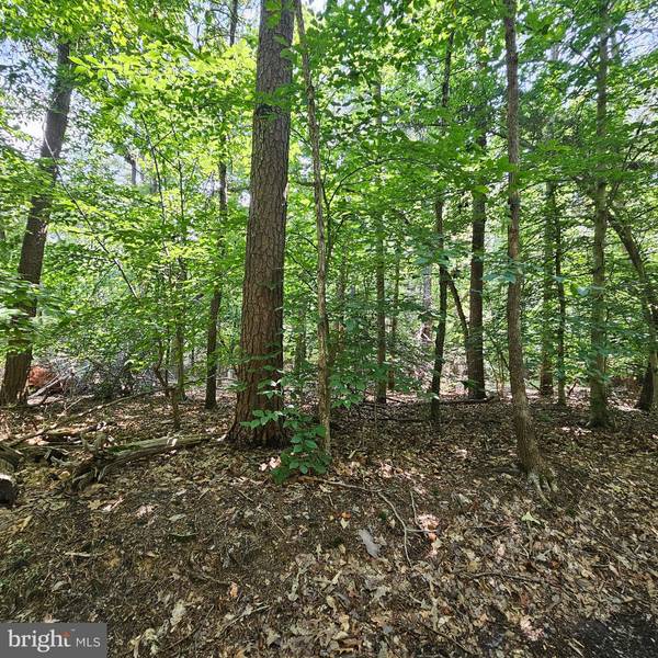 LOT 55 ANNA COVES BLVD, Mineral, VA 23117