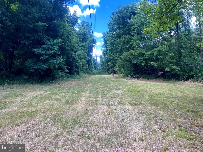 40.94 ACRES POWDER SPRINGS ROAD, Moorefield, WV 26836