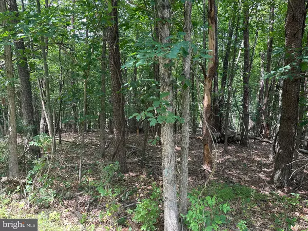 Basye, VA 22810,LOT 258 STUART DR