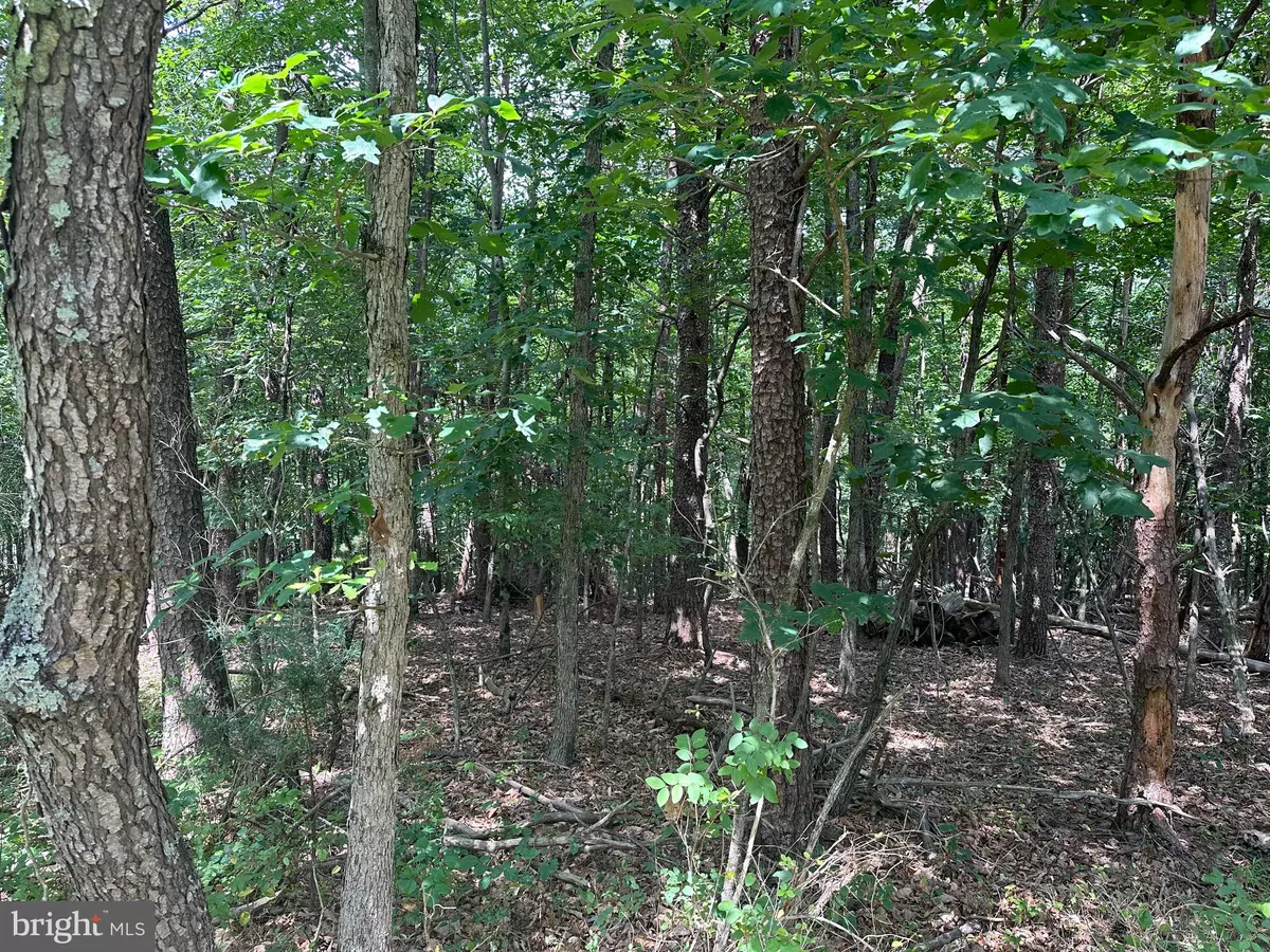 Basye, VA 22810,LOT 258 STUART DR