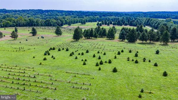 Round Hill, VA 20141,CHRISTMAS TREE LANE