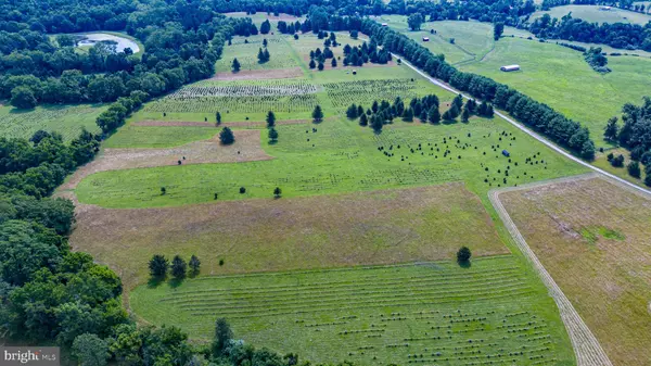 Round Hill, VA 20141,CHRISTMAS TREE LANE