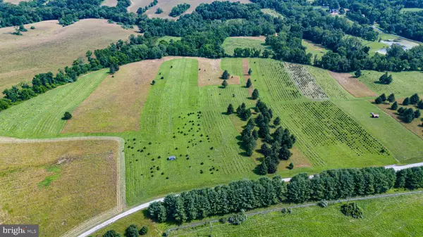 Round Hill, VA 20141,CHRISTMAS TREE LANE