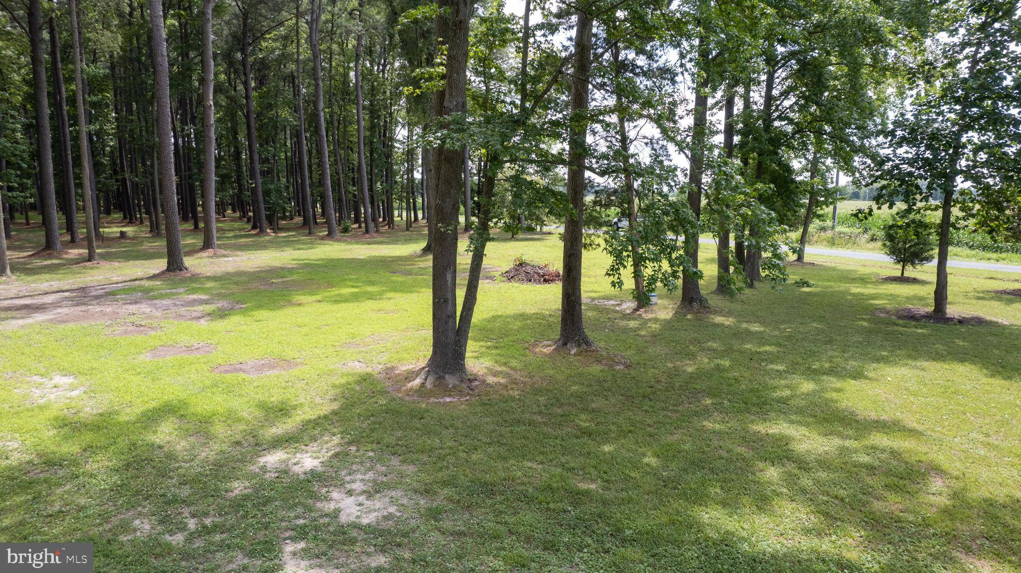 Cambridge, MD 21613,HORNS POINT RD