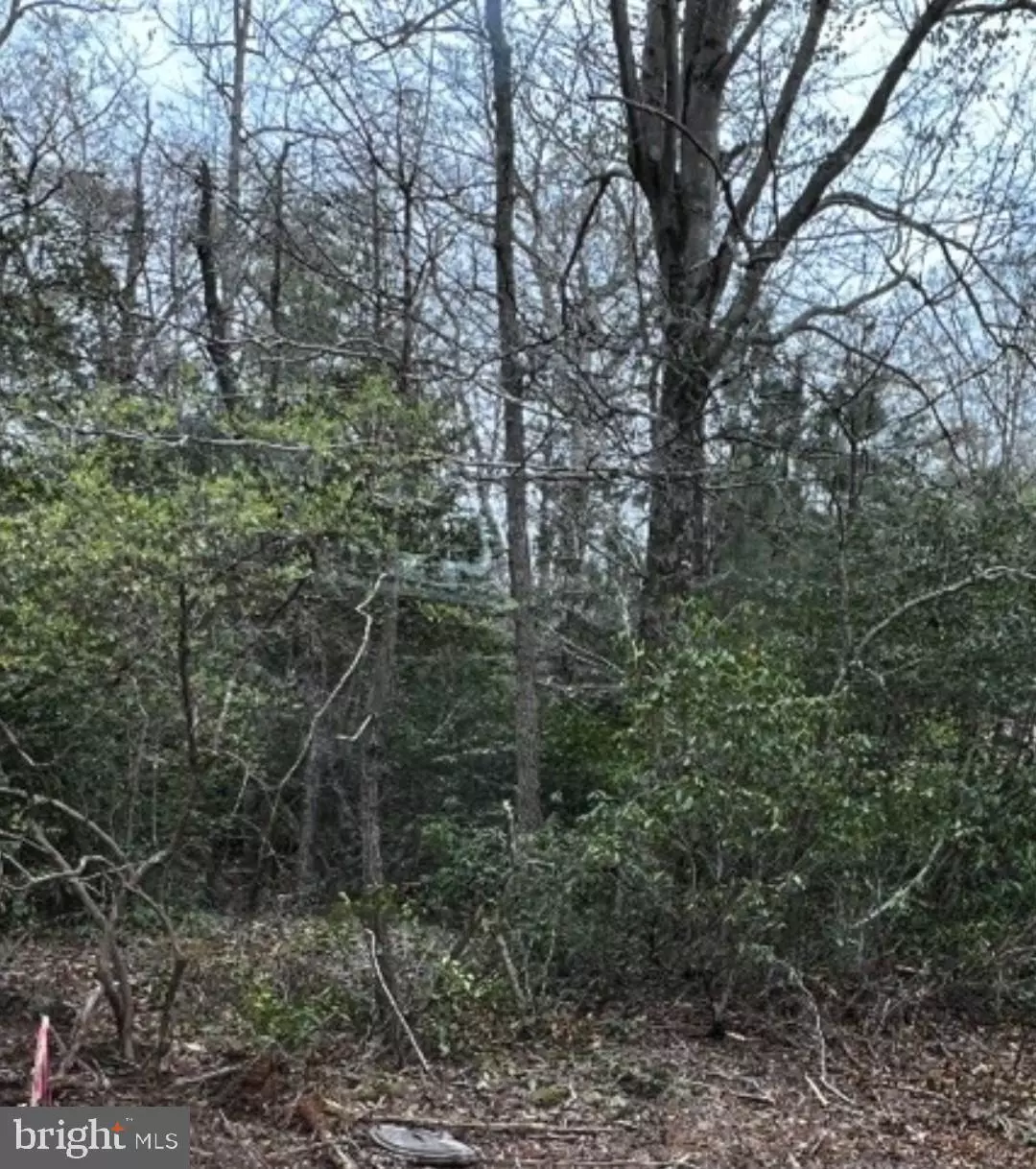 Colonial Beach, VA 22443,LOT 13 POPLAR LN