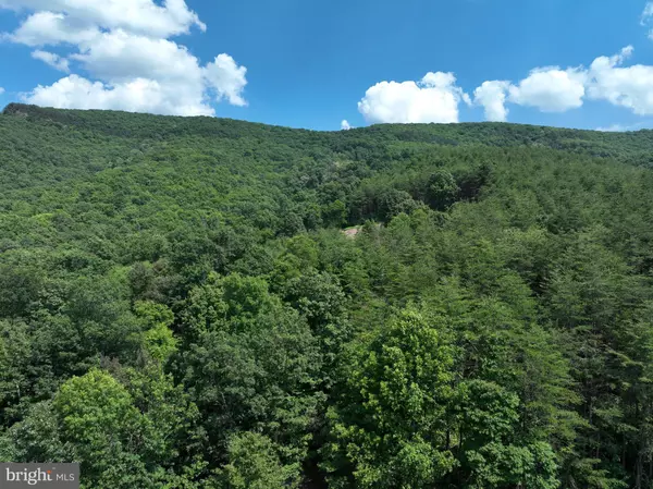 Moorefield, WV 26836,LOT 325 ASHTON WOODS