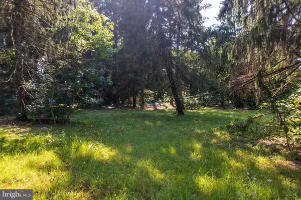 Milton, DE 19968,VACANT LOT FRONT ST