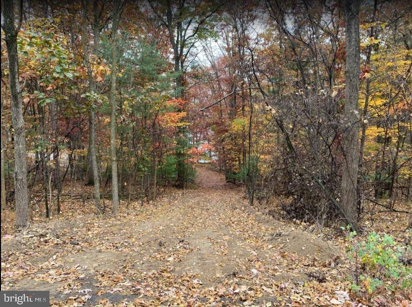 Cross Junction, VA 22625,150 S LAKEVIEW