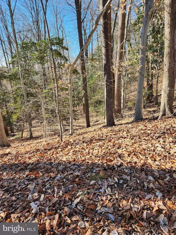 Montross, VA 22520,LOT 72 PLANTATION