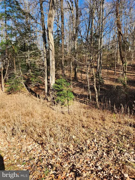 LOT 72 PLANTATION, Montross, VA 22520