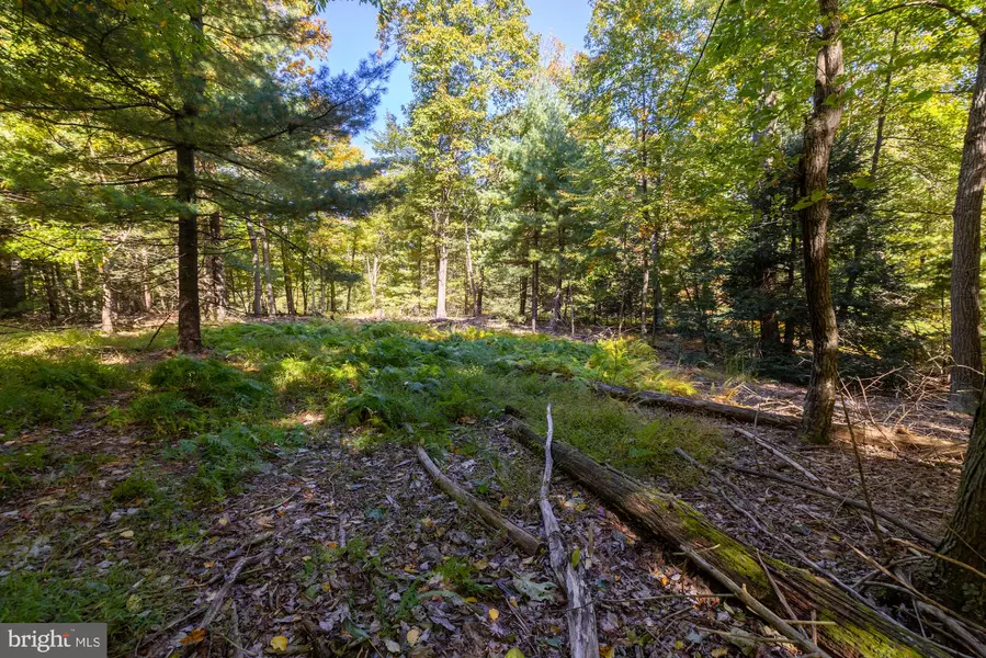 LOT 1 NEWMAN RD, Orrtanna, PA 17353