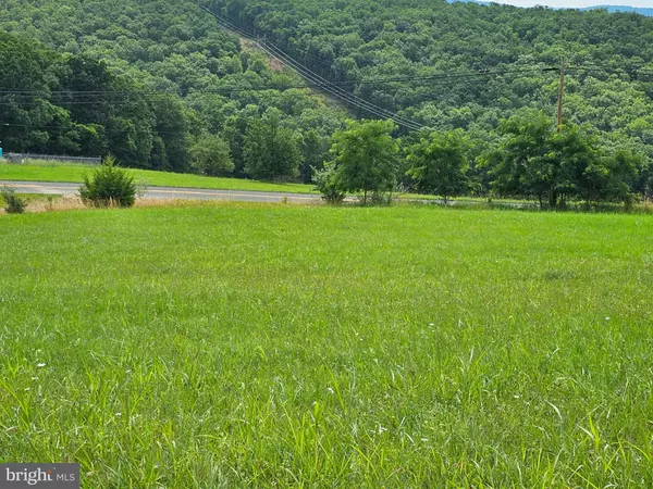 Petersburg, WV 26847,LOT 25 BRYNNER DR