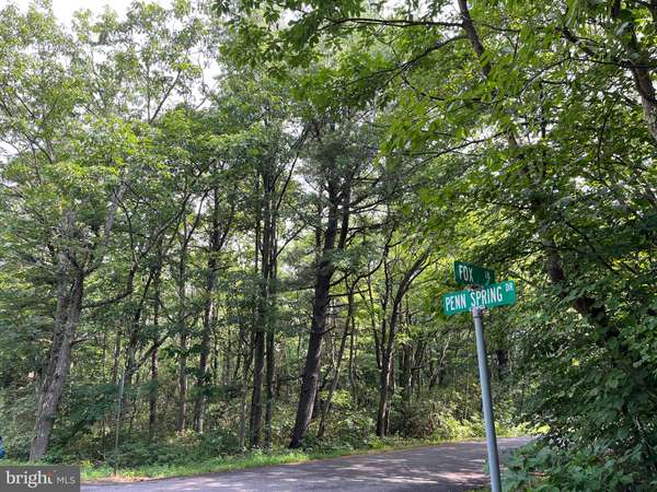 LOT 138 PENN SPRING DRIVE & FOX LN, Jim Thorpe, PA 18229