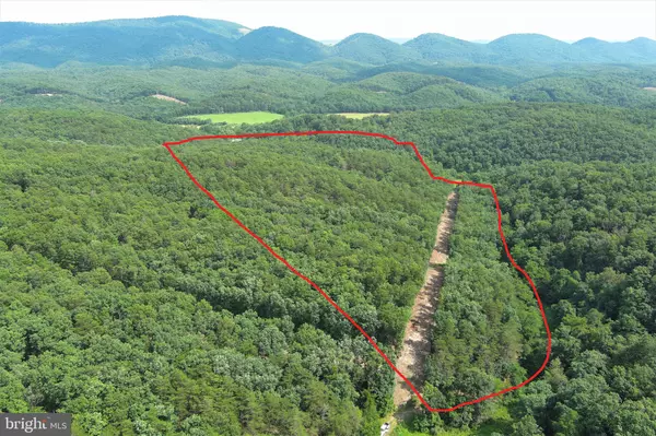 Romney, WV 26757,34 ACRES FLEMING RD