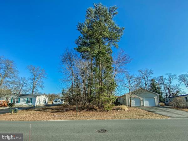 37 WHITE PINE DR, Millsboro, DE 19966