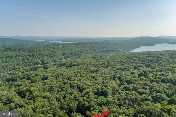 Swanton, MD 21561,MALLARD LAKE TRL