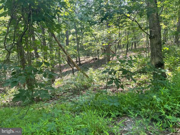 LOT 100 SNEAD LN, Basye, VA 22810