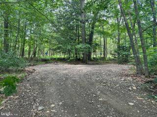 LOT 3 SPRUCE RIDGE, Mount Storm, WV 26739