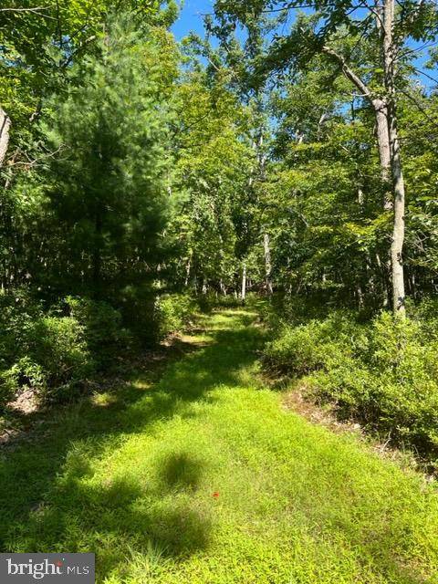 0 PINEY MOUNTAIN RIDGE RD, Biglerville, PA 17307