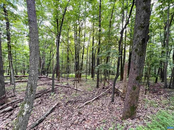 Nellysford, VA 22958,TBD TREE HOUSE PL