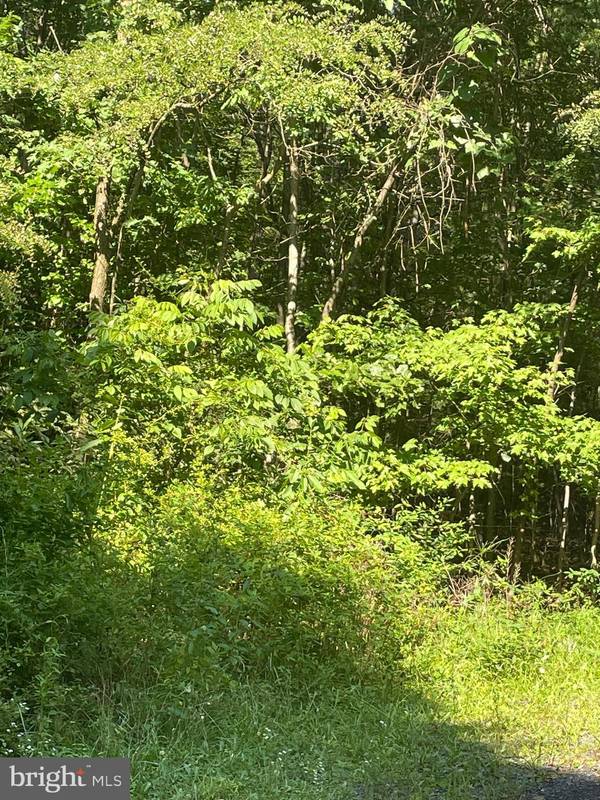 LOT #6 CLAYSPUR ROAD, Shirleysburg, PA 17260