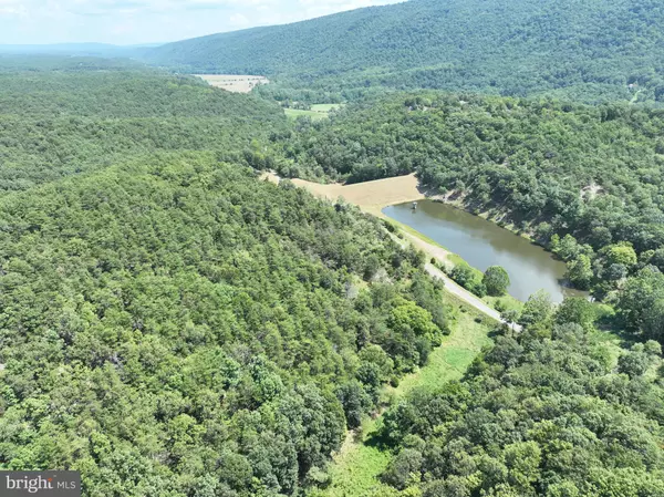 122.63 ACRES HARNESS RUN RD, Burlington, WV 26710